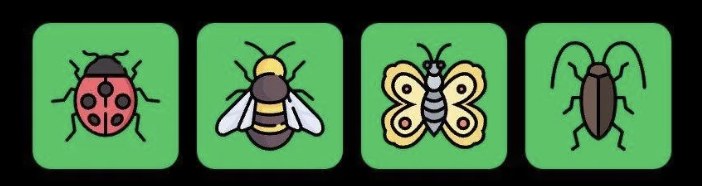 FLIES Daily Combo 19 May 2025